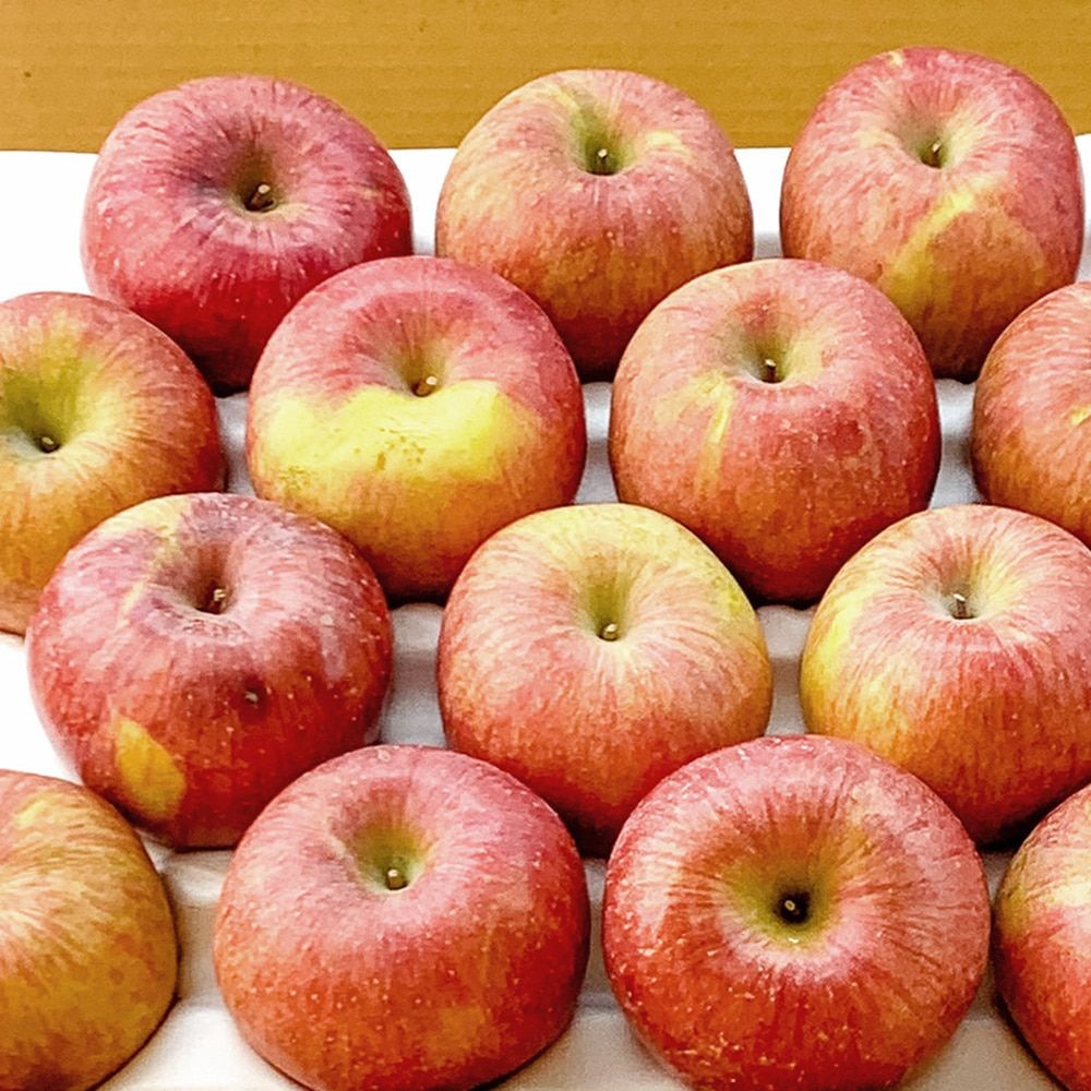 [온누리7%혜택]과일친구 의성 26년산 못난이사과 5kg (25~33입 홍로)