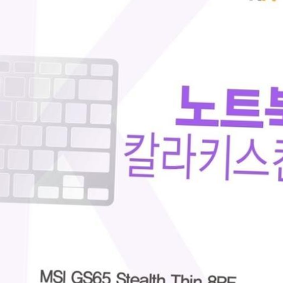 카라스인터내셔널 MSI GS65 Stealth Thin 8RF  용 칼라키스킨