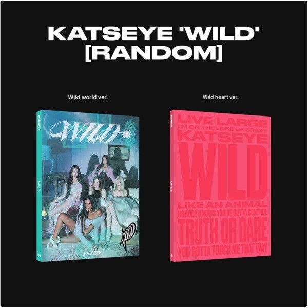 개봉앨범 포토카드 없음 / KATSEYE (캣츠아이) - WILD WILD HEARTS 버전