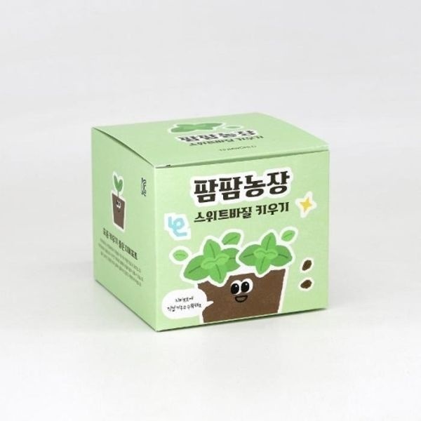 스위트바질 모종 화분 식물 키우기 교육자료 유치원 어린이집 미니텃밭