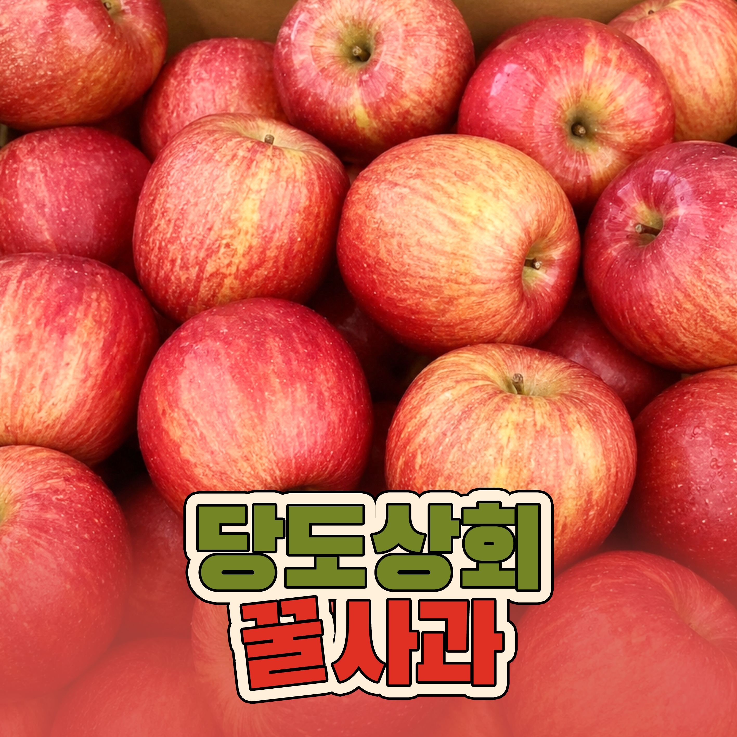 [농할 국내산] [당도상회] 26년 햇사과 15브릭스 보장 경북 고당도 산지직송 사과 1.5kg/3kg/5kg