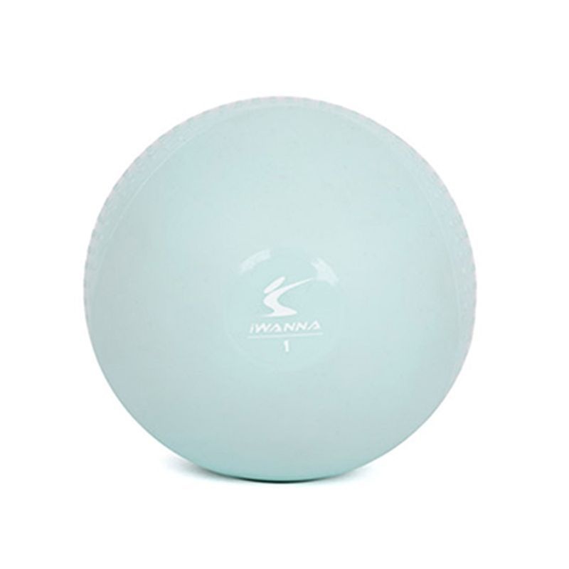 아이워너 소프트토닝볼 1kg 2개 1세트