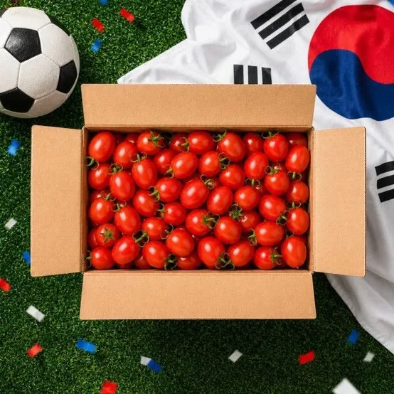 물가안정 500개 한정 세도 조정숙 농가 큰 로얄과1-2번 2kg 471738