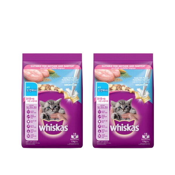 브이펫 위스카스 1세이하 주니어 오션피쉬 1.1KG 2개