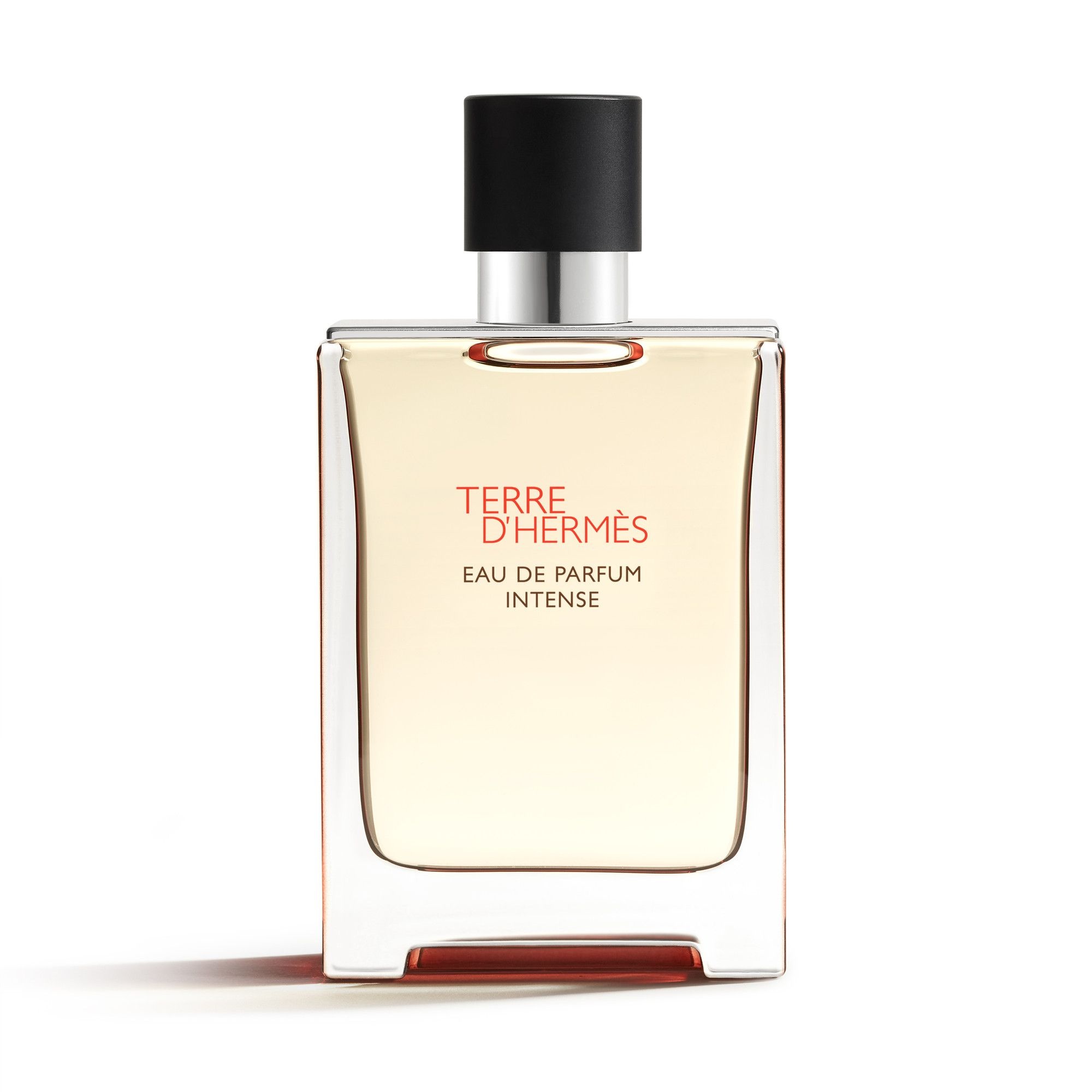 떼르 데르메스 오드퍼퓸 인텐스 100ml