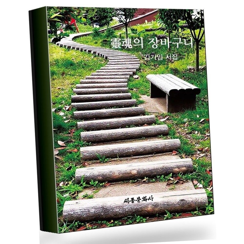영혼의 잘바구니(세종문화사 작품선 226) 권장도서