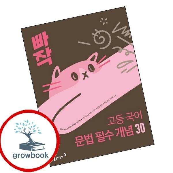 빠작고등국어문법필수개념30학습교구