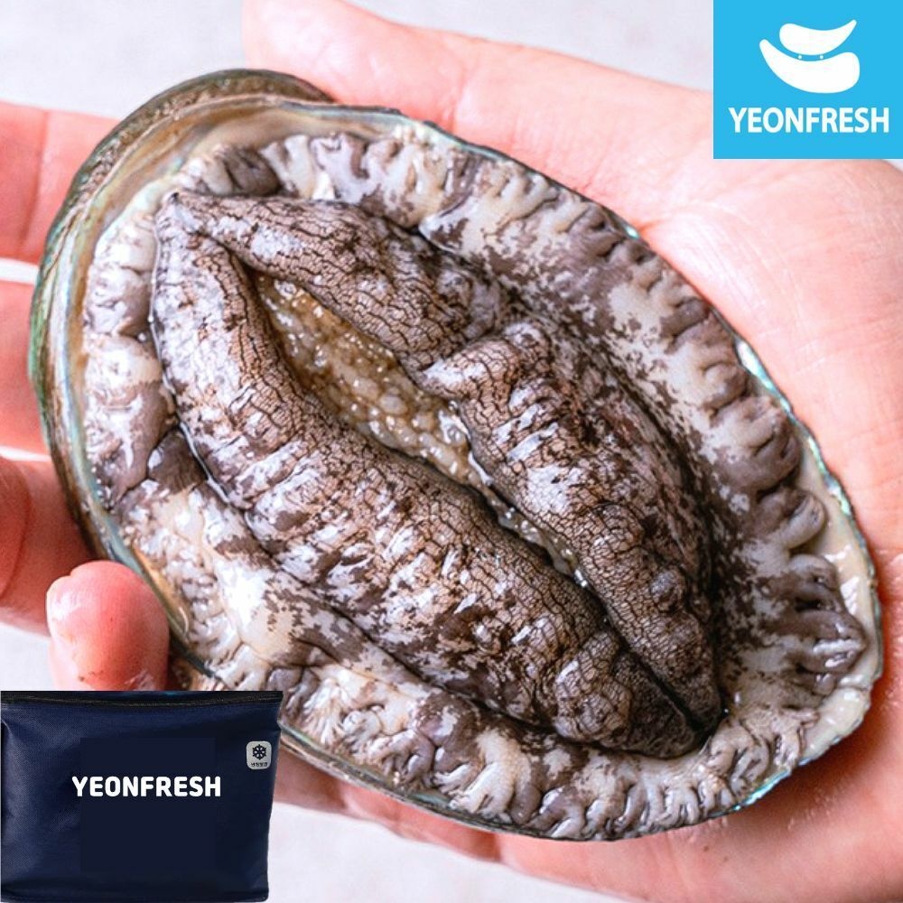 [선물포장] 완도활전복 1.5kg 5-6미 총9마리(미당167g내외)