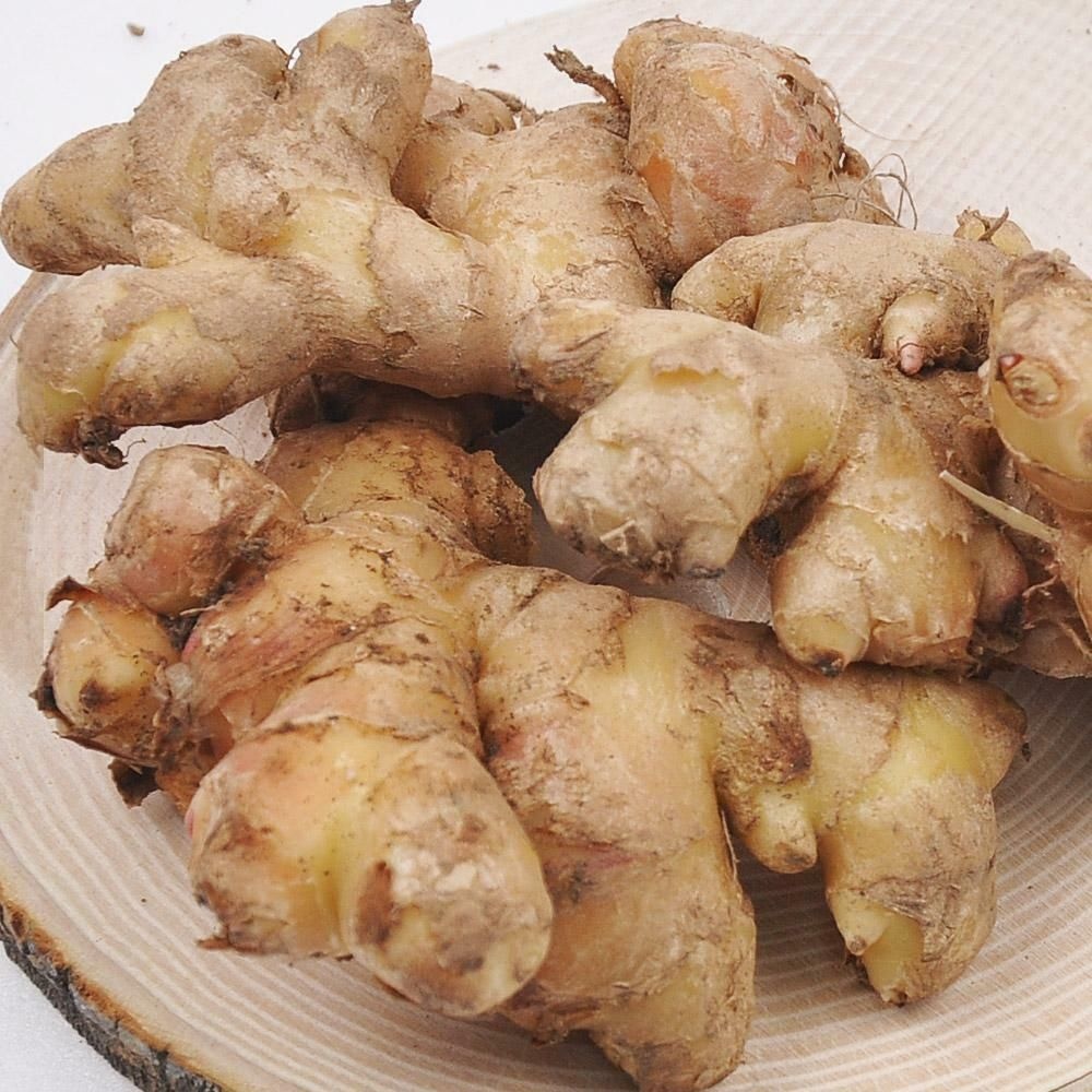 충남 서산 전영운님의 햇 토종생강 10kg