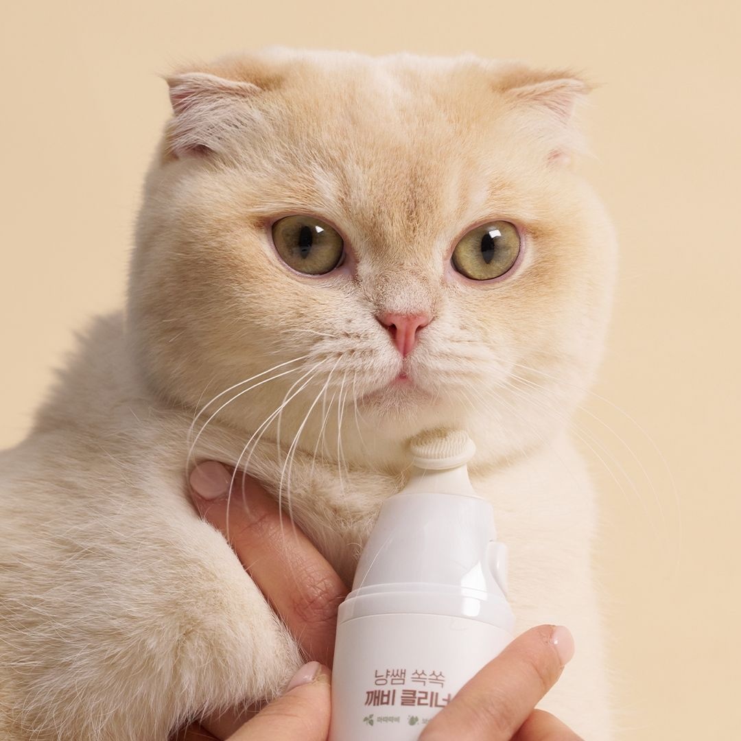 냥쌤 고양이 턱드름 관리 쏙쏙 깨비 클리너 30ml