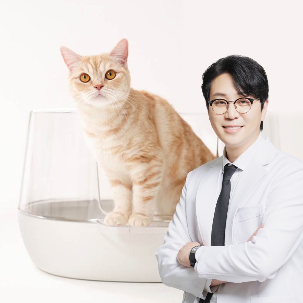 냥쌤 투명화장실 고양이 대형 화장실 3종(화이트/그린/연그레이)