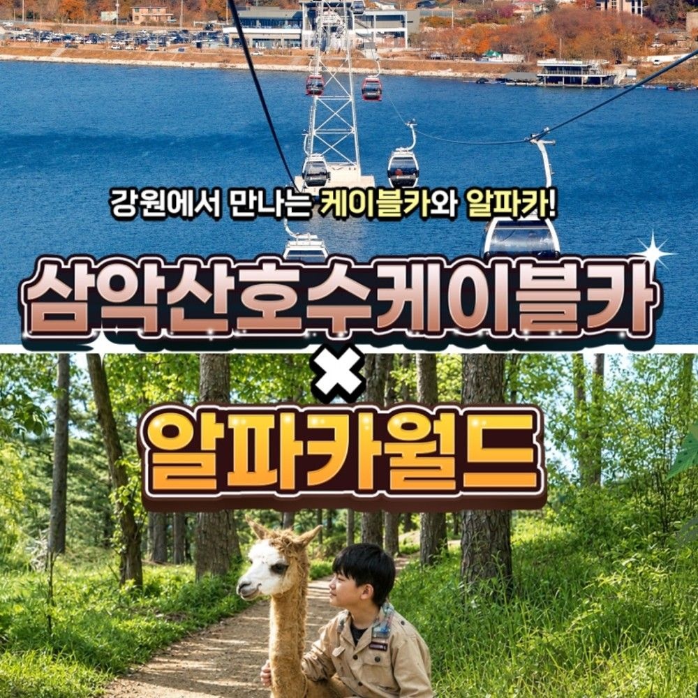 레고랜드 코리아 리조트 [강원] 삼악산케이블카X알파카월드 PKG