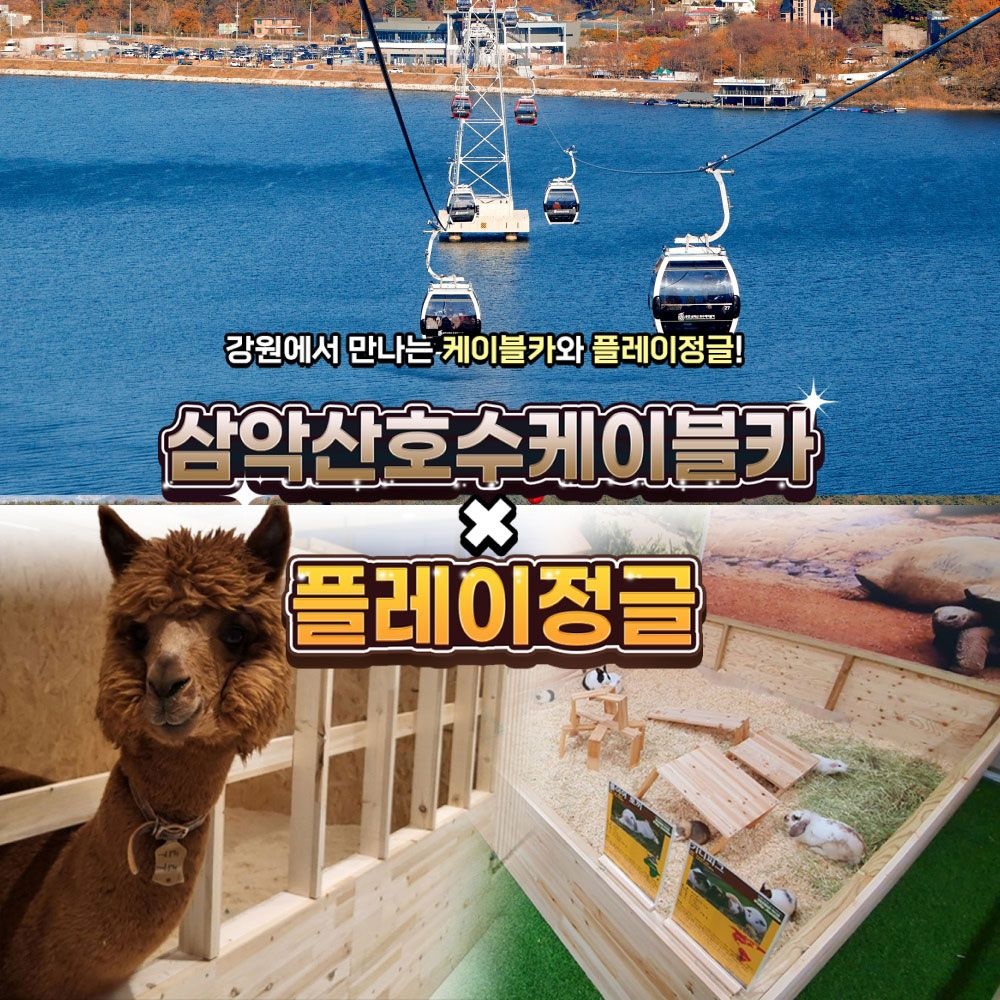 레고랜드 코리아 리조트 [강원] 삼악산케이블카X플레이정글 춘천엔타점 PKG