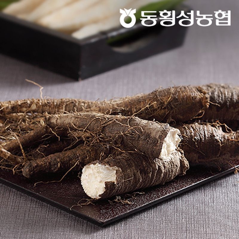 [동횡성농협] 강원도 더덕 800g (생더덕)
