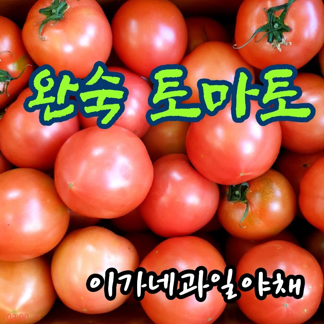 [농할 국내산] [이가네과일야채] 속이 꽉 찬 완숙토마토