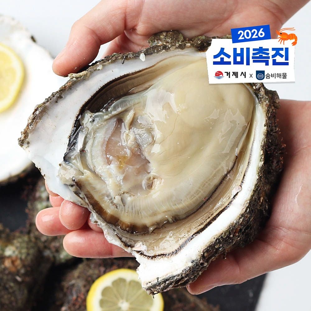 숨비해물 숨비해물 거제도 해녀 자연산 바위굴 원물 3kg 생굴 벚굴 굴 석화