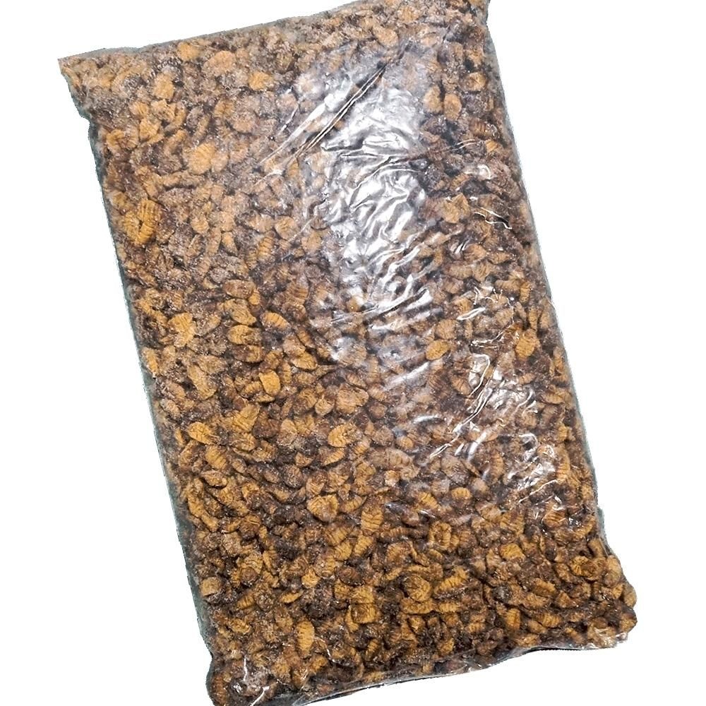 글로벌부전 번데기 4kg 단백질간식