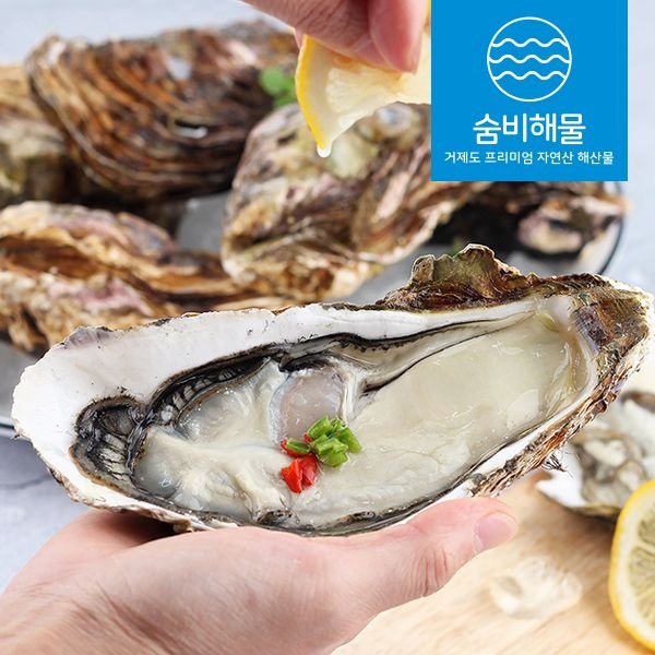 숨비해물 산지직송 거제 삼배체 굴 각굴 석화 대왕굴 2kg