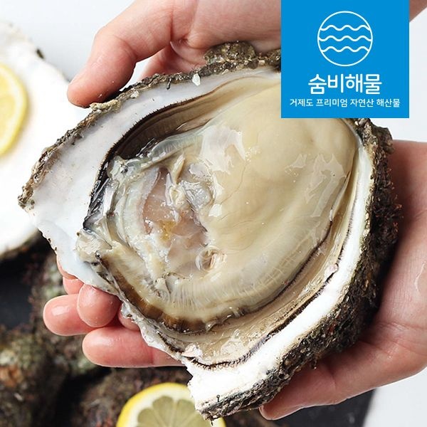 숨비해물 거제도 해녀 자연산 바위굴 원물 3kg 생굴 벚굴 굴 석화