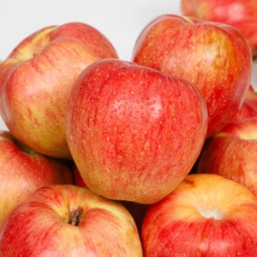 (딱 2주만) 정말 맛있는 홍로사과 A급 산지직송 고품위 빠른도착 가정용 품질보장 무료배송 특가 (A급(소과)1kg(6-8과))
