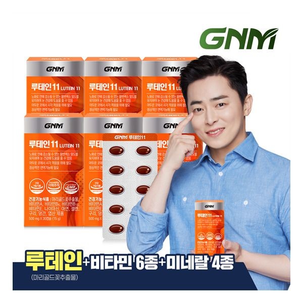 [GNM자연의품격] 루테인 11 6박스 / 비타민 6종 + 미네랄 4종 눈건강 비타민B 아연 엽산