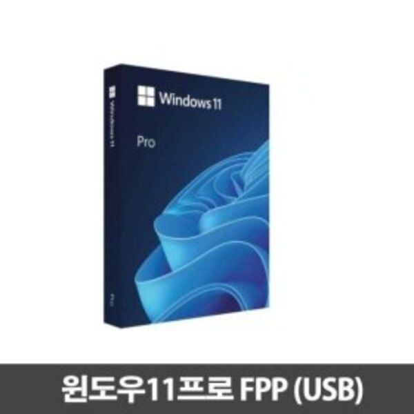 마이크로소프트 Windows 11 Pro FPP (한글/64bit/정품)