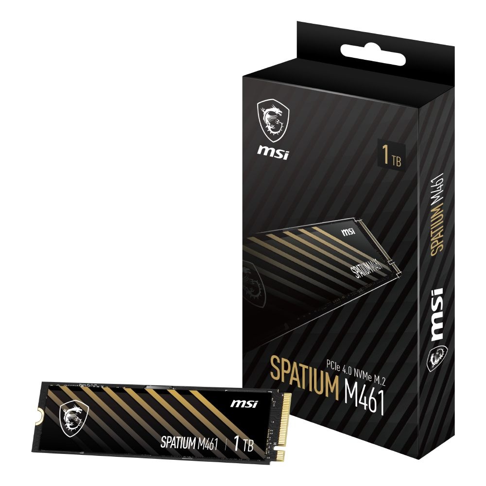 MSI SPATIUM M461 M.2 NVMe (1TB) CL