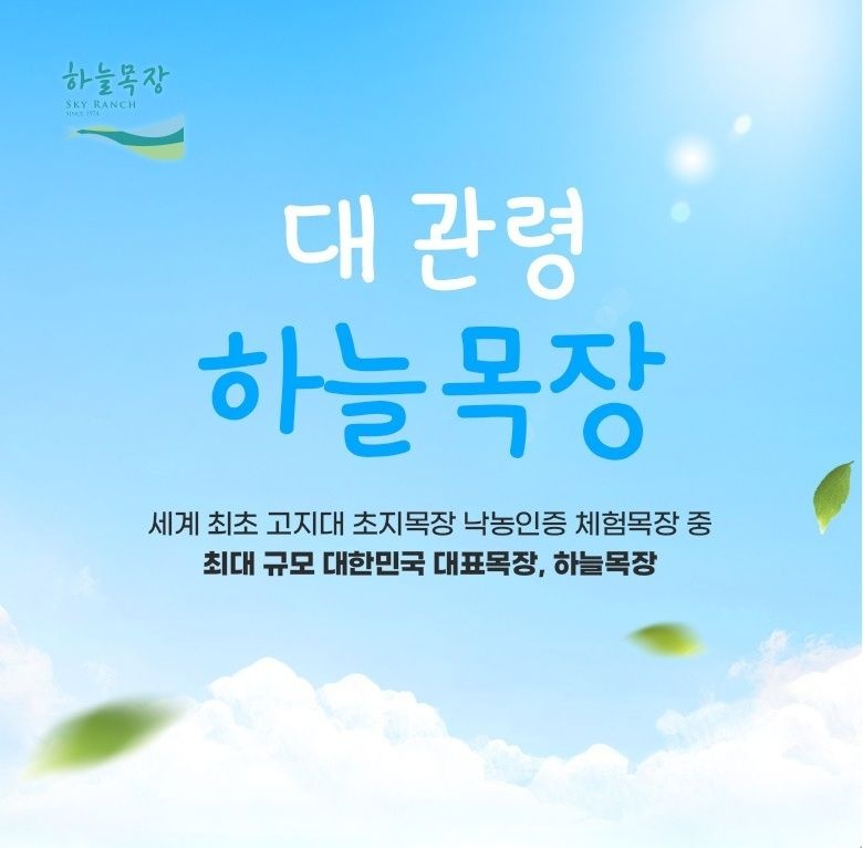 [강원] (구매후 익일사용가능) 대관령 하늘목장 입장권 (~10/31)