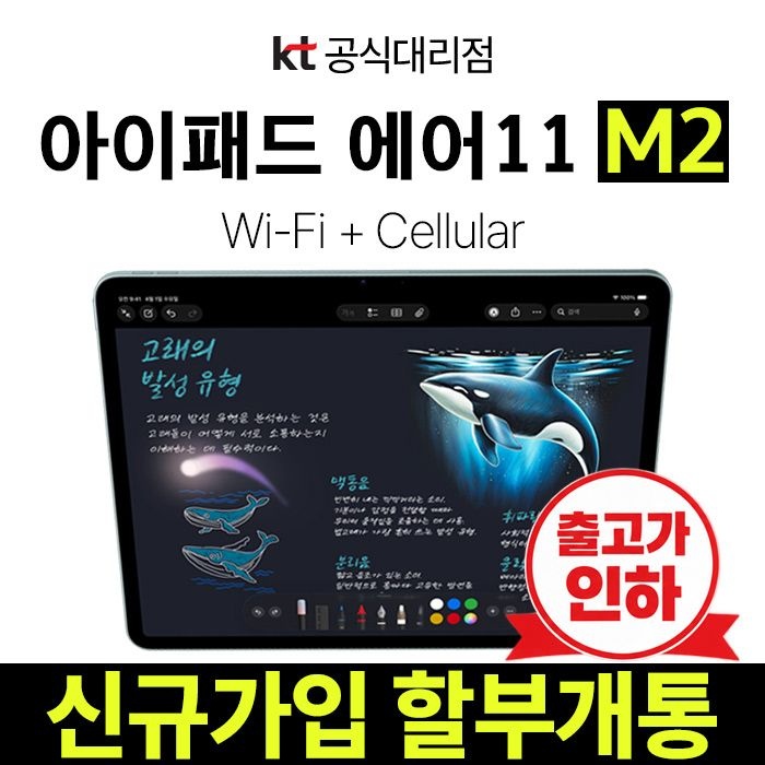 Apple 아이패드 에어 M2 11인치 1TB 블랙 셀룰러 KT 신규가입 할부개통