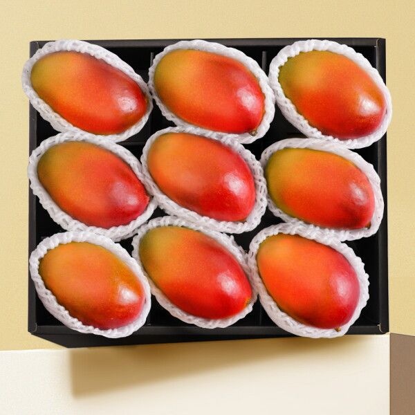 [스윗베러] 애플망고 9과 선물세트 3.3kg내외