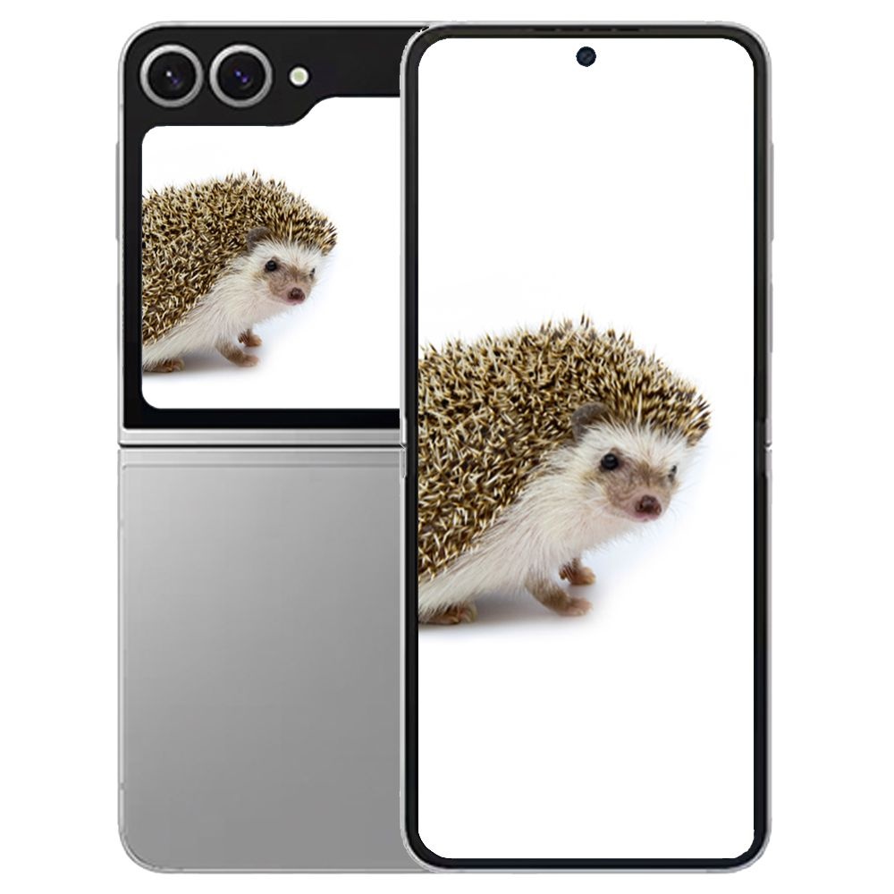 갤럭시 삼성 Z 플립6 512GB SM-F741N-512 미개봉 새상품