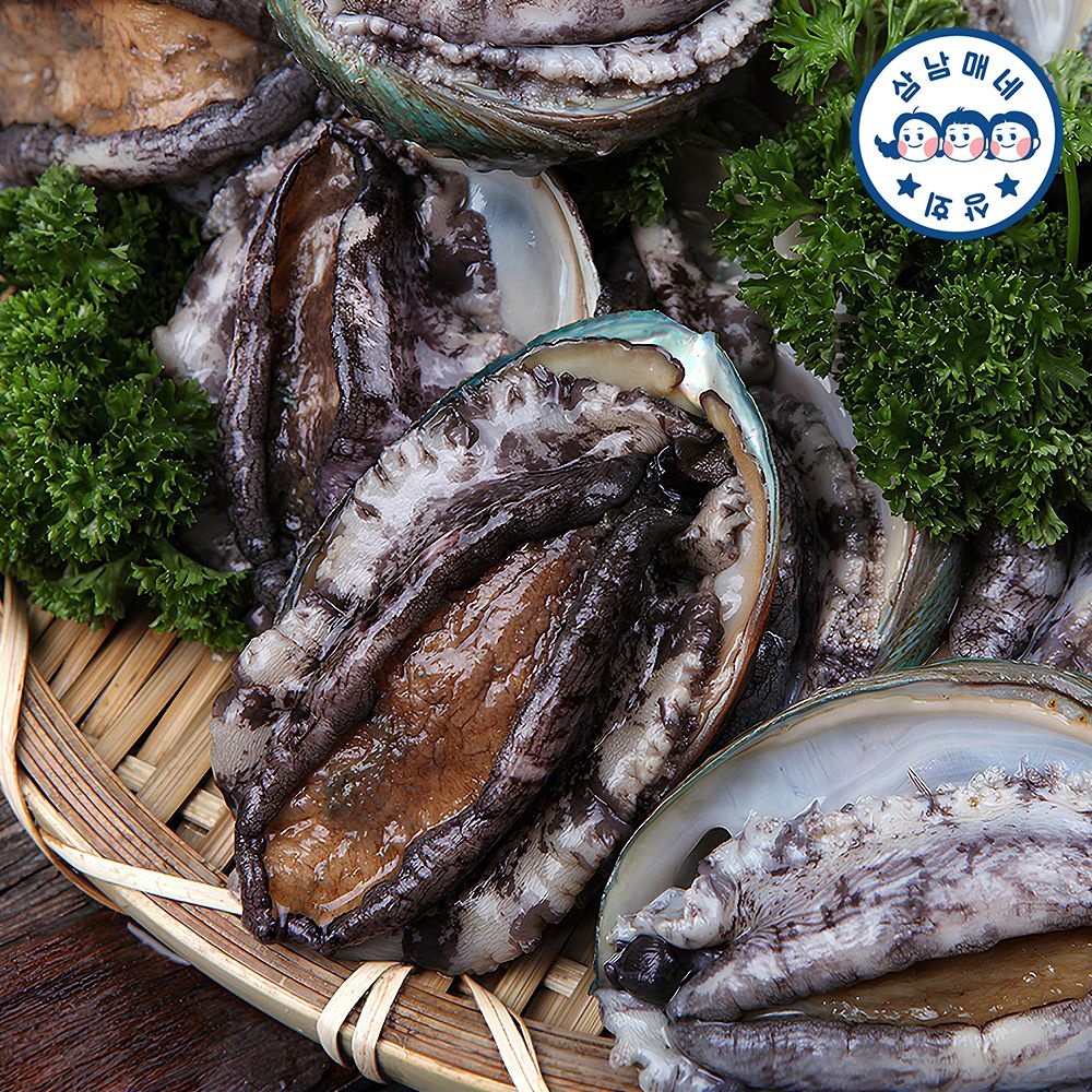 [오남매네] 완도활전복 특특대 8-9미 1kg 산소포장+세척솔
