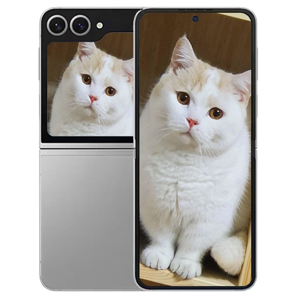 갤럭시 삼성 Z 플립6 512GB 미개봉 새상품 SM-F741N-512