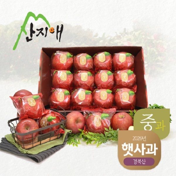 산지애 씻어나온 햇사과 2.7kg 1box (중과)
