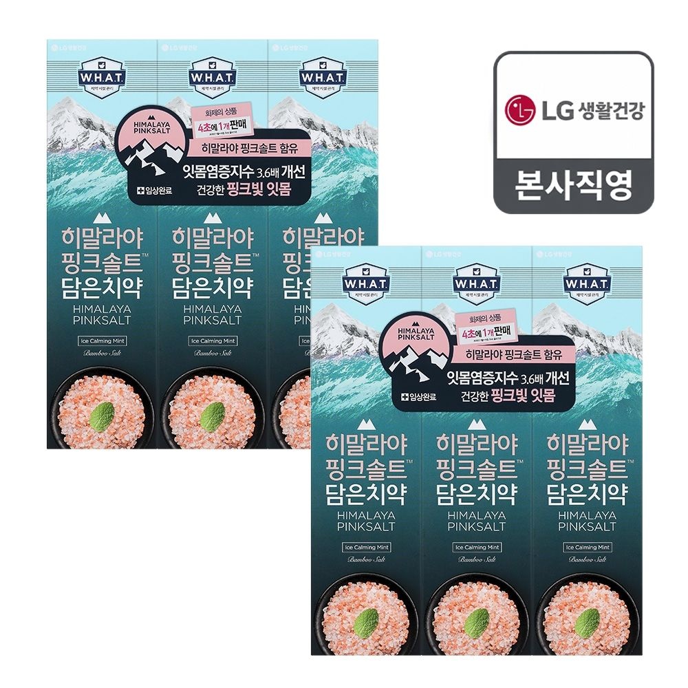 죽염 히말라야핑크솔트 치약 100g(아이스) x 6개