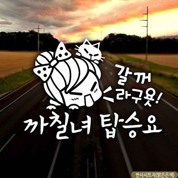 고품질 자동차스티커 갈꺼라구욧 까칠녀탑승요 반사시트지 초보운전 차량용스티커주문제작 WFQ9FFZ