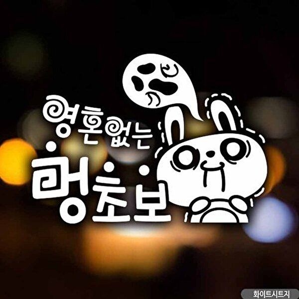 고품질 자동차스티커 영혼없는멍초보 초보운전 화이트시트지 초보운전 차량용스티커주문제작 WFQ9FGL