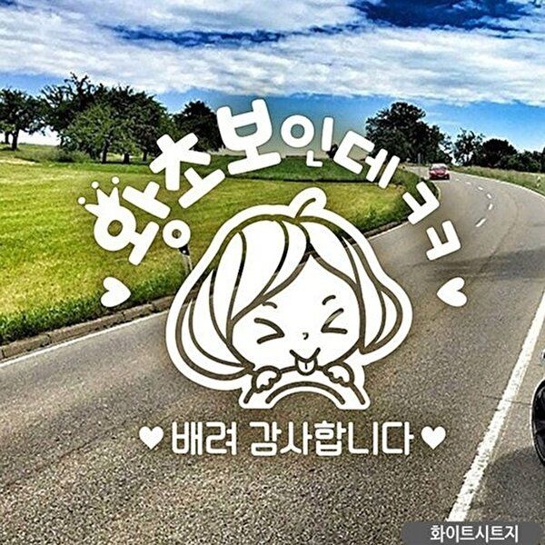 고품질 왕초보인데ㅋㅋ 초보자동차스티커 화이트 자동차스티커 차량스티커 차스티커 유리스티커 WFQ9FT2
