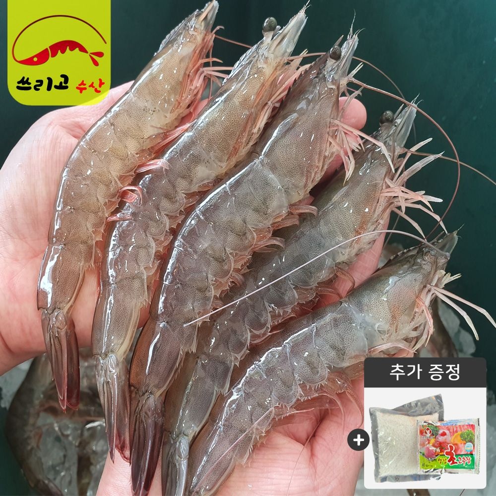 [온세일]26년 국내산 특품 활새우1kg(26~30미) 출고당일새벽조업 흰다리 생새우 대하 
