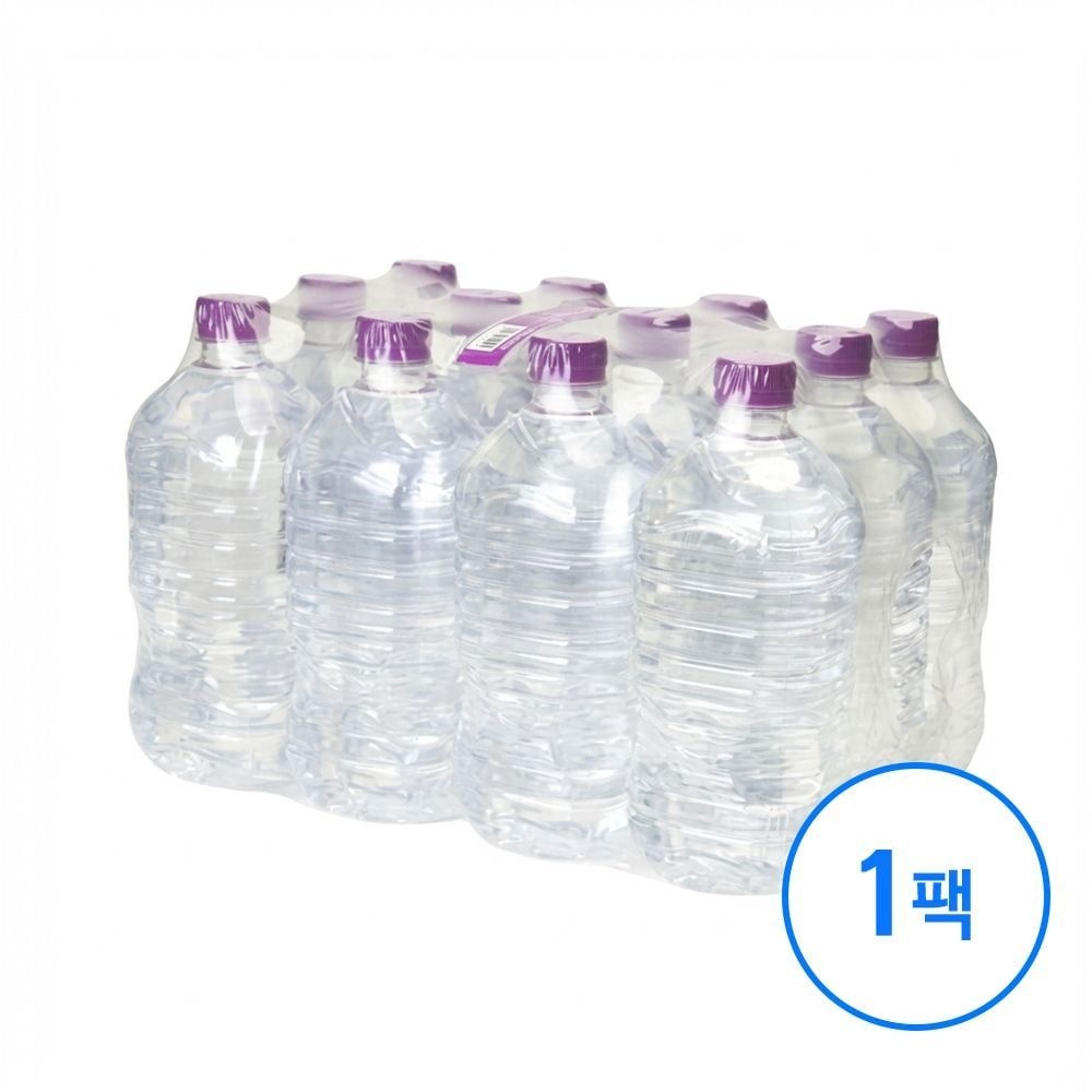 몽베스트 생수 무라벨 1L 12병