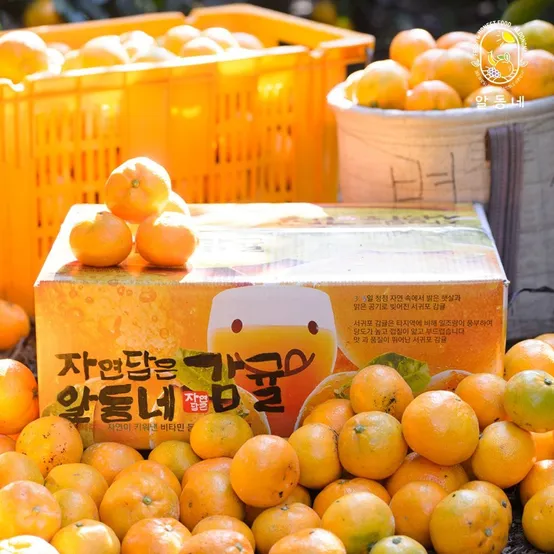 제주 하우스 감귤 2kg 소과 귤