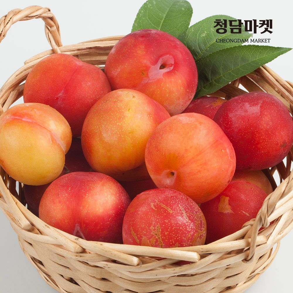 청담마켓 국내산 추희자두 1kg (특과/8-14과)