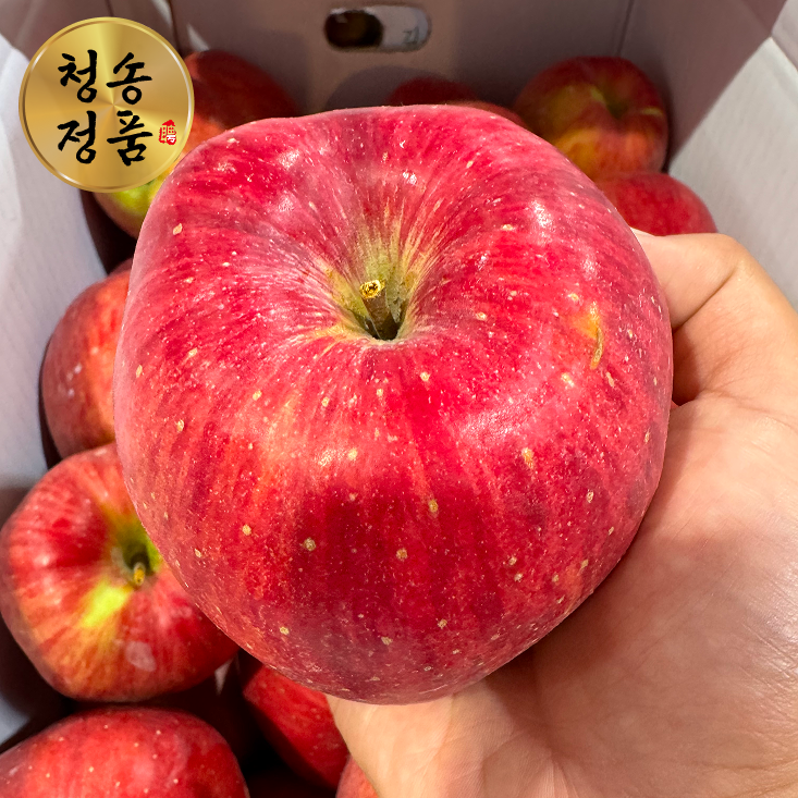 [온누리7%혜택][재구매1위] 청송 홍로 사과 특품 2kg 5kg 10kg (중과 2.5kg(8~11과))