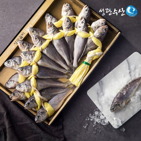[성광수산] 영광법성포굴비선물세트특1호(20마리 대략1.75kg내외 20cm)
