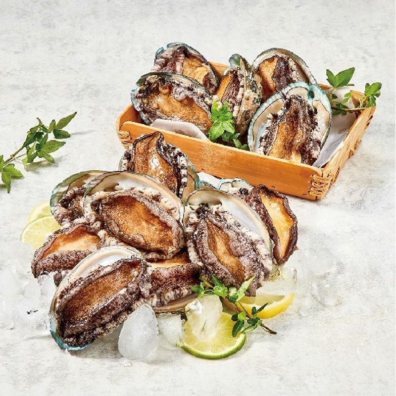 [바다원] 완도 활전복 대 1kg 12-13미+손질칼[36015718]