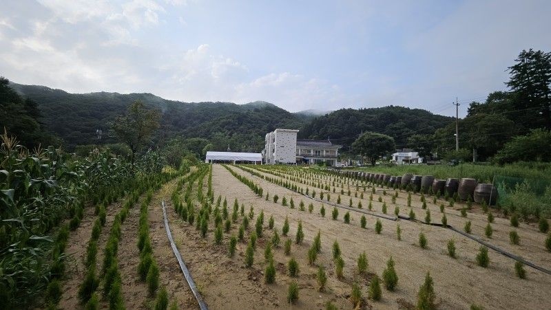 광주 펜션&남한산성아트홀펜션