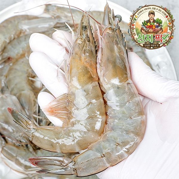 산지직송 국내산 활 흰다리 새우 당일조업 제철 (흰다리 새우 500g (20-25미 내외))