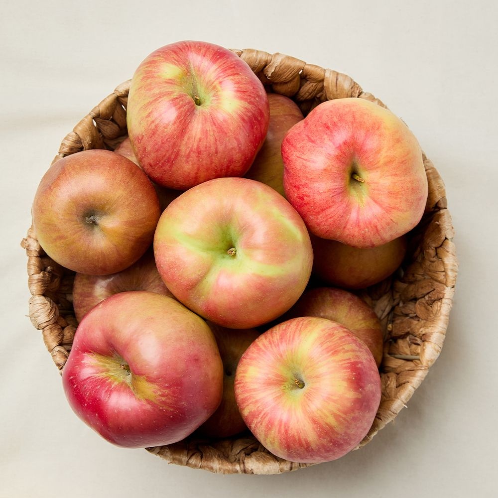 [오늘담음] 실속 홍로 빨간사과 2kg (14-16과)