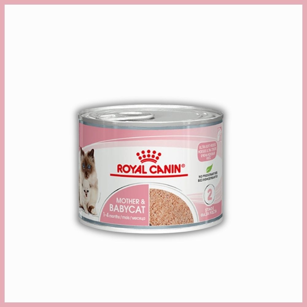 로얄캐닌 캣 고양이 습식사료 마더앤베이비캣, 195g, 1개
