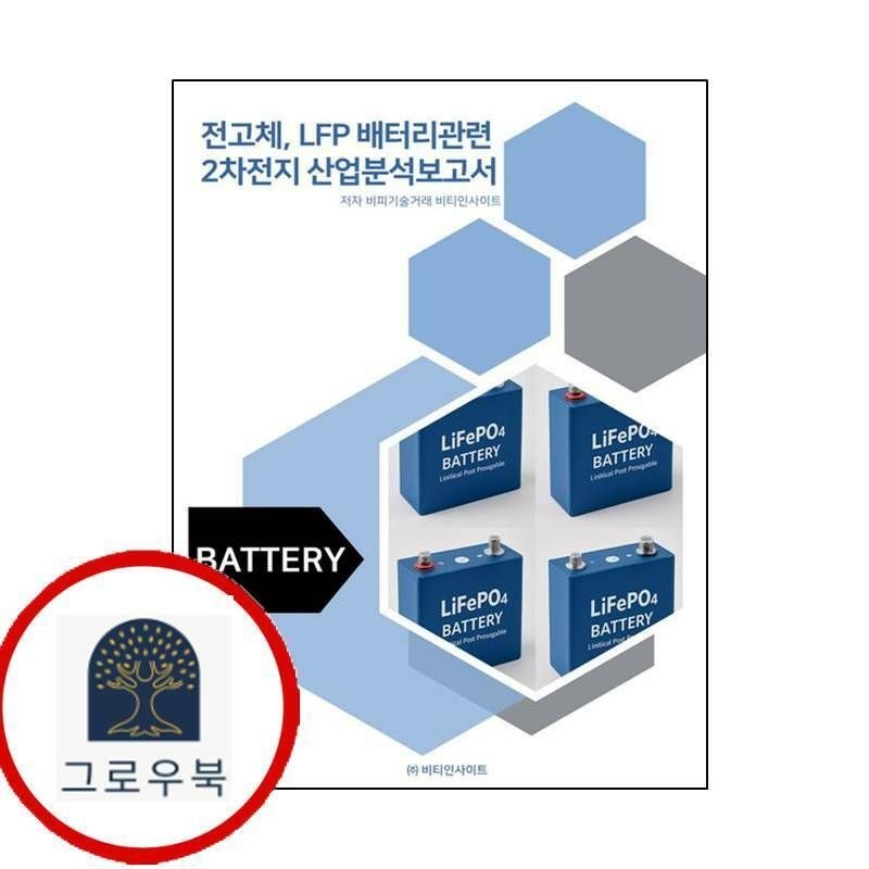 (현대Hmall) [비티인사이드] 전고체 LFP 배터리관련 2차전지 산업분석보고서